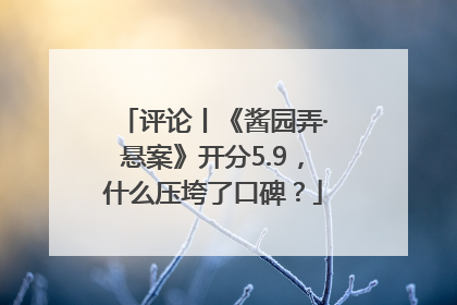 评论丨《酱园弄·悬案》开分5.9，什么压垮了口碑？